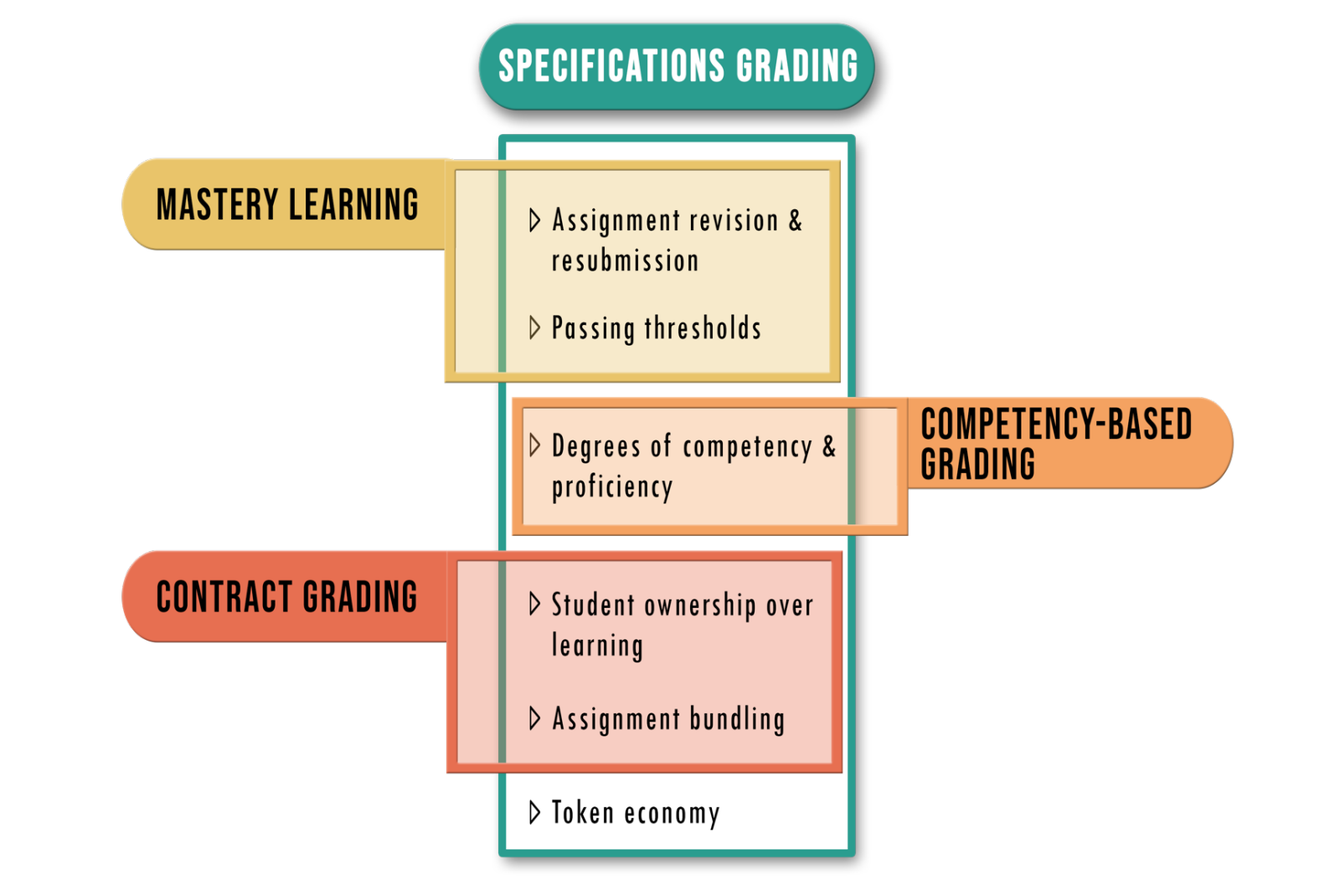 Specifications Grading at UC Irvine with Renee Link by Julia Winter
